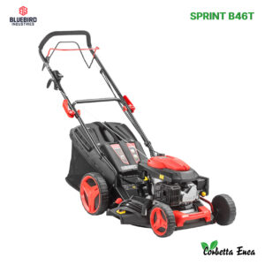 RASAERBA SPRINT B46T BLUEBIRD