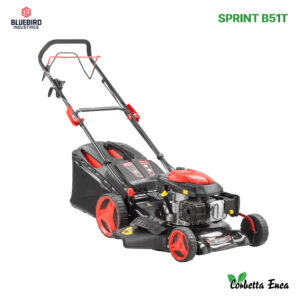 RASAERBA SPRINT B51T BLUEBIRD