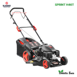 RASAERBA SPRINT H46T BLUEBIRD