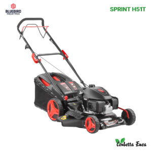 RASAERBA SPRINT H51T BLUEBIRD