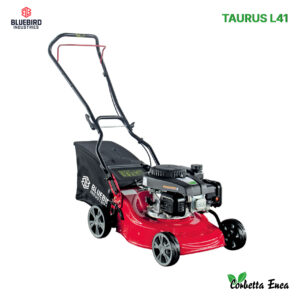 RASAERBA TAURUS L41 BLUEBIRD