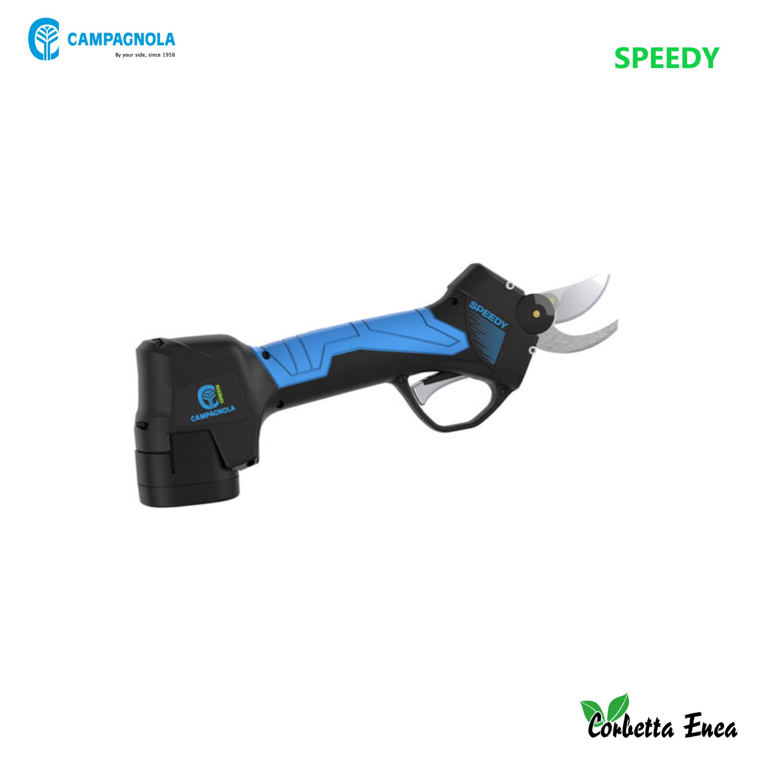 SPEEDY.png