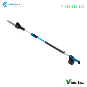 T REX 250 300.png
